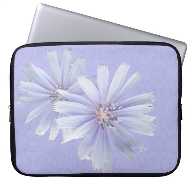 Funda Para Portátil Flor silvestre de Chicory (Frente)