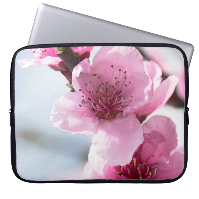 Funda Para Portátil Florecimiento de la primavera (Frente)