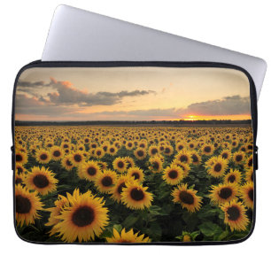 Funda Para Portátil Flores Campo de girasol