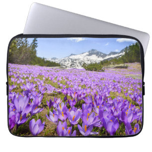 Funda Para Portátil Flores Crocus Pirin Mountain Park Bulgaria