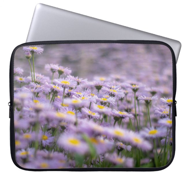 Funda Para Portátil Flores de Aster Púrpura (Frente)