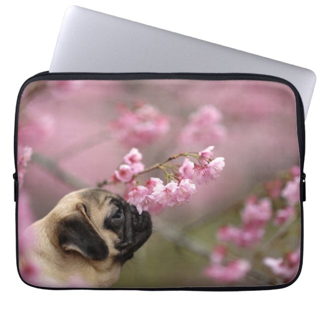 Funda Para Portátil Flores de cerezo en picor (Frente)