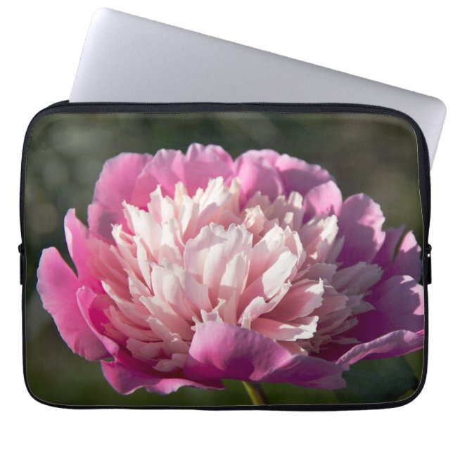 Funda Para Portátil Flores de peonía rosada en primavera (Frente)