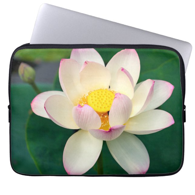 Funda Para Portátil Flores | Flor de agua Lotus (Frente)