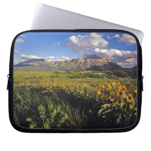 Funda Para Portátil Flores silvestres de balsomroot de hoja de flecha