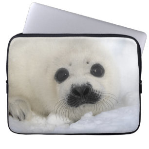 Funda Para Portátil Foca de Groenlandia del bebé