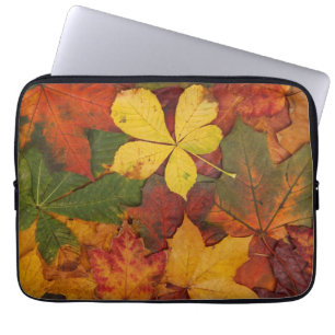 Funda Para Portátil Foliage de otoño