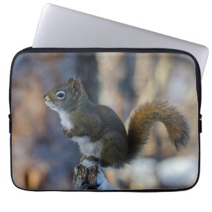 Funda Para Portátil Forager Frosty: ardilla de invierno canadiense