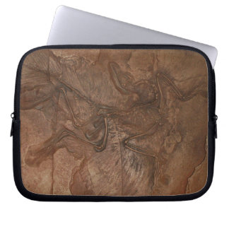 Funda Para Portátil Fósil del Archaeopteryx - manga del ordenador
