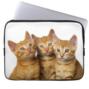 Funda Para Portátil Foto de cabeza de tres gatos de jengibre gatitos -
