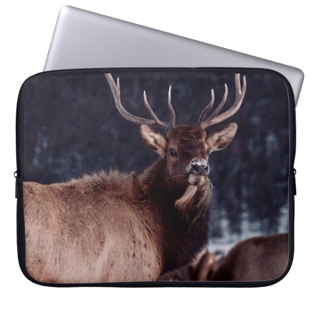FUNDA PARA PORTÁTIL FOTO DE DEFENSA DE BROWN DEER (Frente)