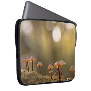 Funda Para Portátil Foto de la naturaleza de los hongos pequeños