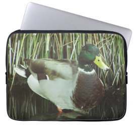 Funda Para Portátil Foto de Pato Real Macho Distintivo Lago Ave