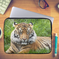 Foto de vida silvestre del Tigre de Sumatra