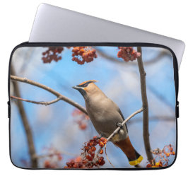 Funda Para Portátil Fotografía aviar, Bohemian Waxwing