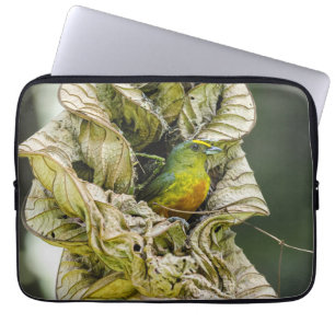 Funda Para Portátil Fotografía aviar, eufonía con fondo de olivo