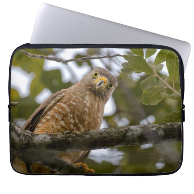 Funda Para Portátil Fotografía aviar, Halcón Roadside (Frente)