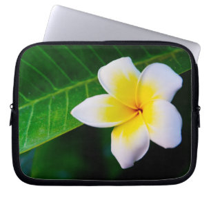 Funda Para Portátil Fotografía de Flor de Plumeria