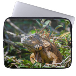 Funda Para Portátil Fotografía de Lizard, Iguana Naranja