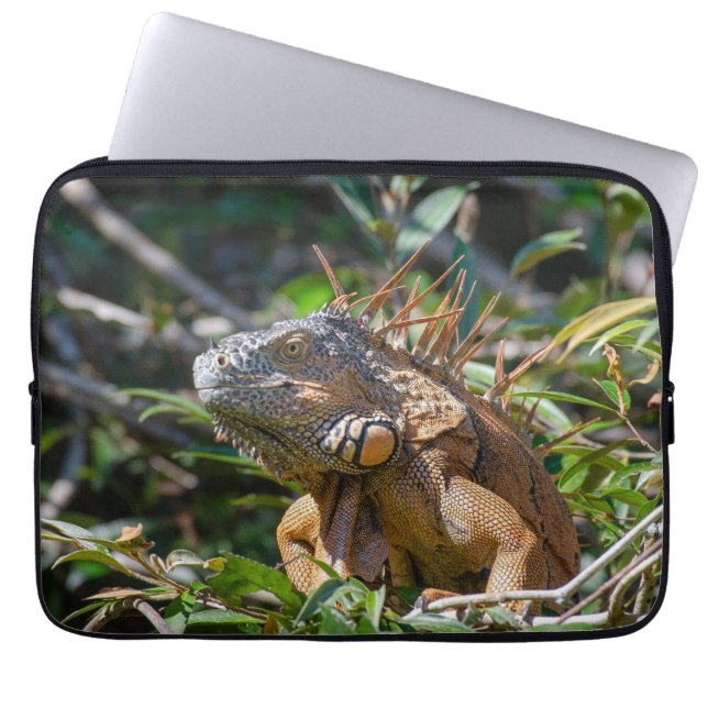 Funda Para Portátil Fotografía de Lizard, Iguana Naranja (Frente)