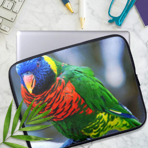 Funda Para Portátil Fotografía de pájaro de lorikeet azul rojo