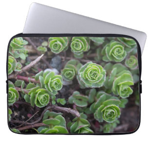 Funda Para Portátil Fotografía exitosa