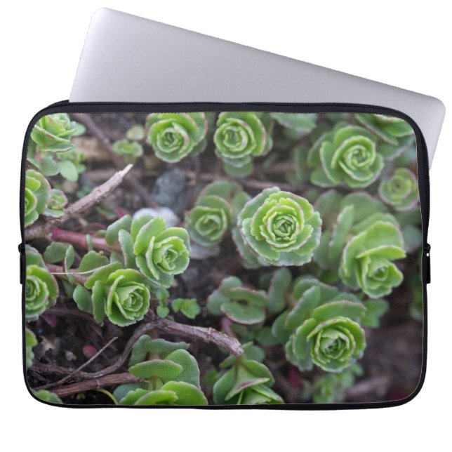 Funda Para Portátil Fotografía exitosa (Frente)