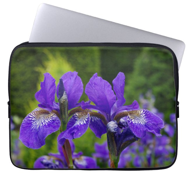 Funda Para Portátil Fotografía floral de Iris sibirica (Frente)