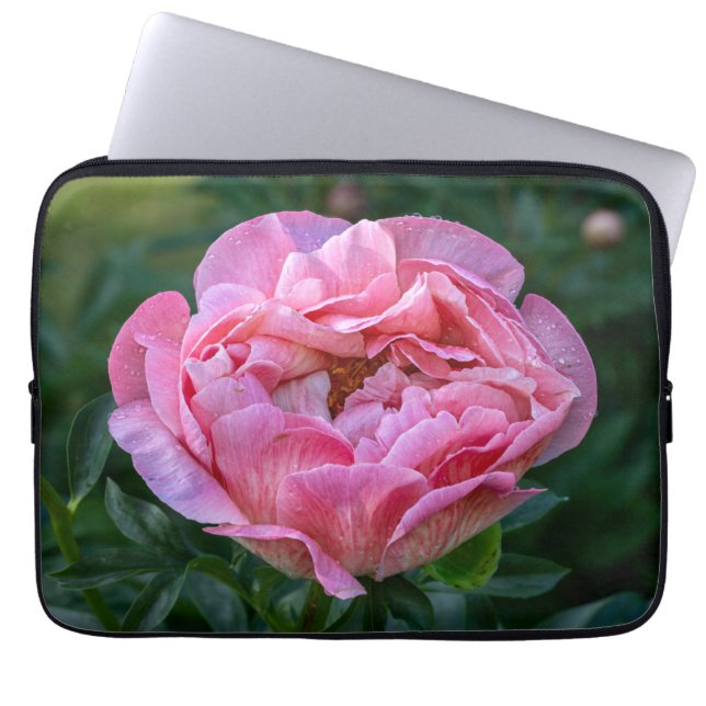 Funda Para Portátil Fotografía Peony, Flor Rosa (Frente)