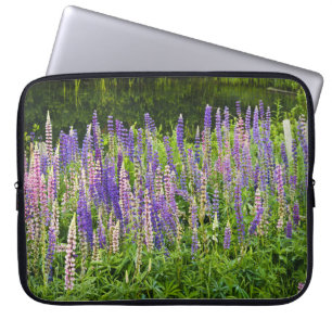 Funda Para Portátil Fotografía púrpura y rosada del Lupine