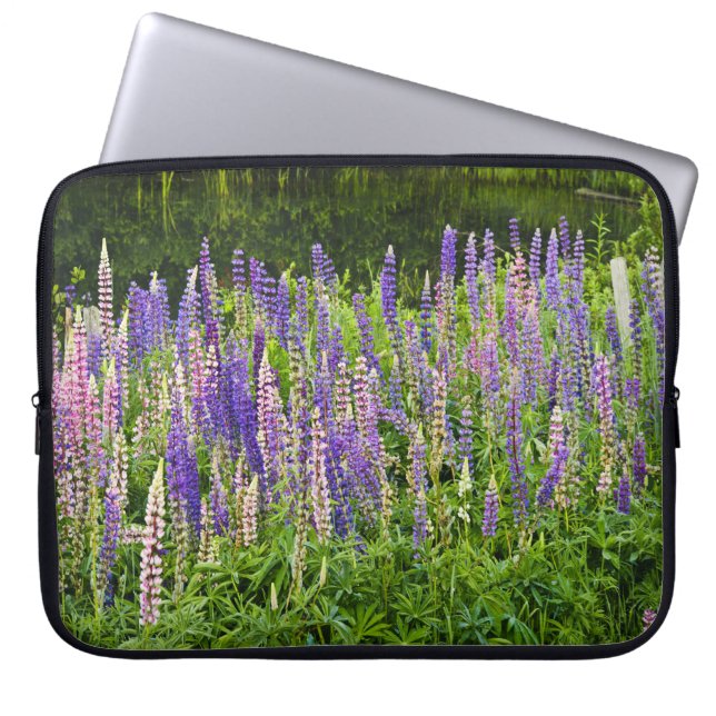 Funda Para Portátil Fotografía púrpura y rosada del Lupine (Frente)