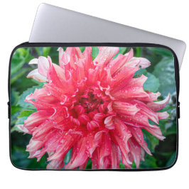 Funda Para Portátil Fotografía rosa de Dahlia, flor canadiense