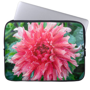 Funda Para Portátil Fotografía rosa de Dahlia, flor canadiense