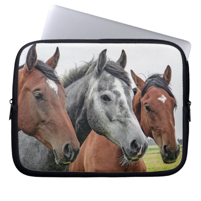Funda Para Portátil Fotos maravillosas de Stallion de caballos (Frente)