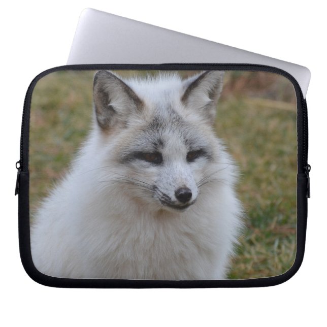 Funda Para Portátil Fox blanco adorable (Frente)