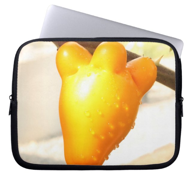 Funda Para Portátil Fox Face Fruit (Frente)