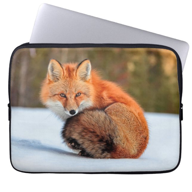 Funda Para Portátil Fox Rojo En Nieve | Yukón (Frente)