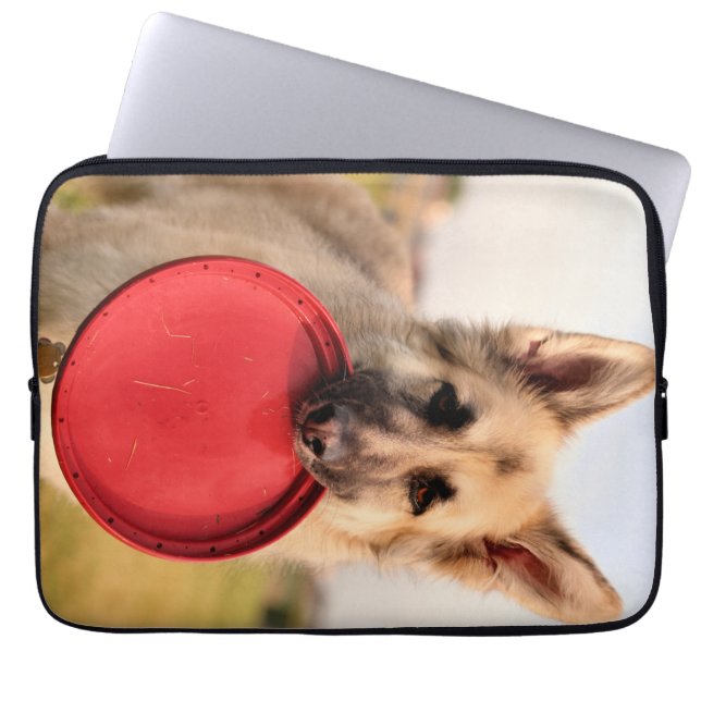 Funda Para Portátil Frisbee (Frente)