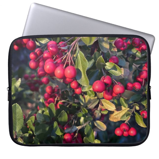 Funda Para Portátil Frutos del otoño (Frente)