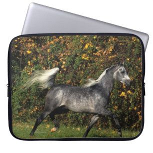 Funda Para Portátil Funcionamiento de los árabes: Otoño