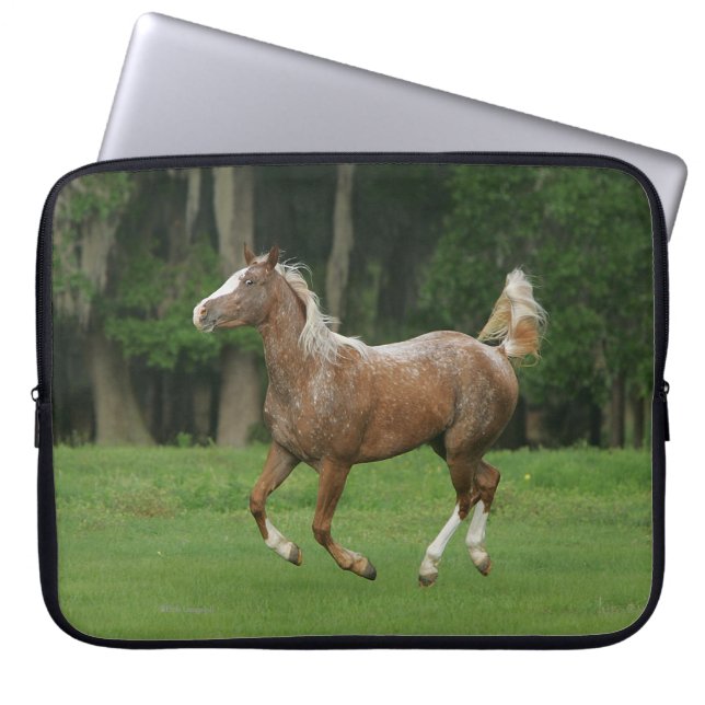 Funda Para Portátil Funcionamiento del caballo del Appaloosa (Frente)
