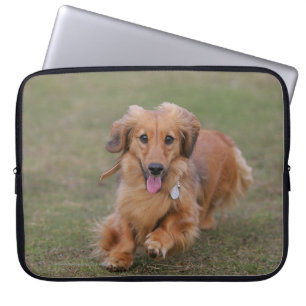 Funda Para Portátil Funcionamiento del Dachshund de Miniture