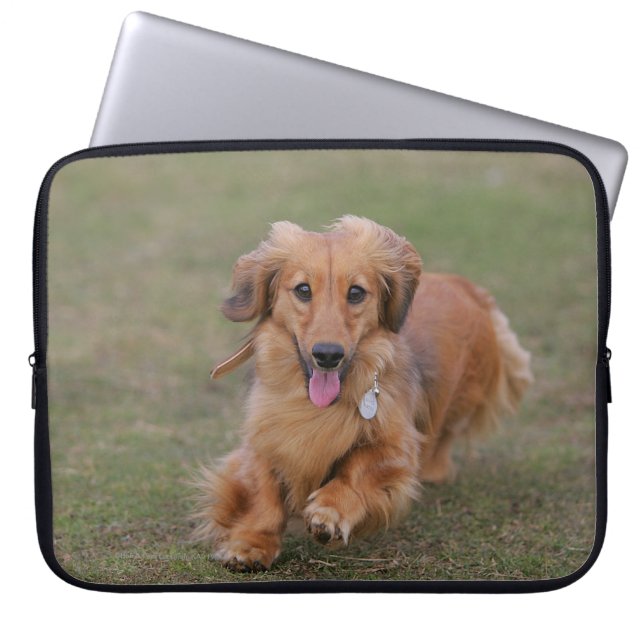Funda Para Portátil Funcionamiento del Dachshund de Miniture (Frente)
