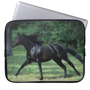 Funda Para Portátil Funcionamiento excelente