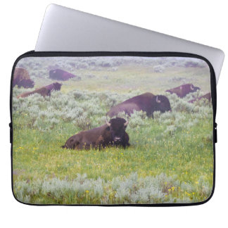Funda Para Portátil Funda de portátil Bison Dream