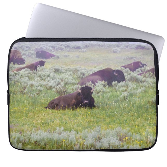 Funda Para Portátil Funda de portátil Bison Dream (Frente)