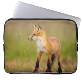 Funda Para Portátil Funda portátil Red Fox Kit