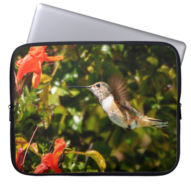 Funda Para Portátil Garden Jewel: Hummingbird in Bloom (Frente)