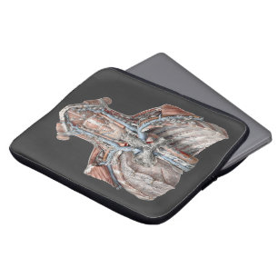 Funda Para Portátil Garganta de anatomía humana vintage, cuello, pech