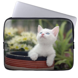 Funda Para Portátil Gatito blanco turco